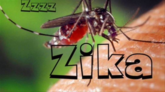 Phân biệt bệnh do vi-rút Zika và sốt xuất huyết, có thể bạn chưa biết