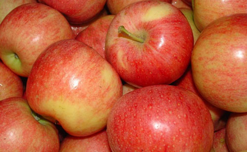 Điểm mặt 6 lí do quan trọng bạn nên ăn táo hàng ngày