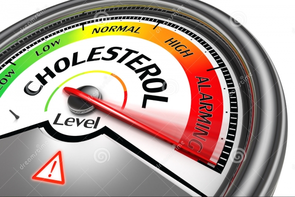 7 nguyên nhân khiến nồng độ Cholesterol trong máu cao