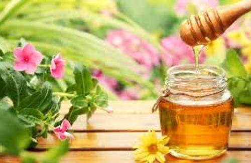 Tác dụng của mật ong và thời điểm uống mật ong tốt nhất