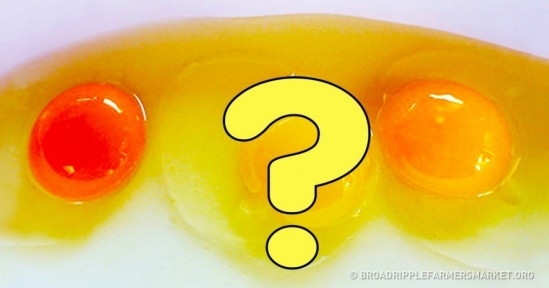 Phán đoán nguồn thức ăn của gà thông qua màu sắc của trứng