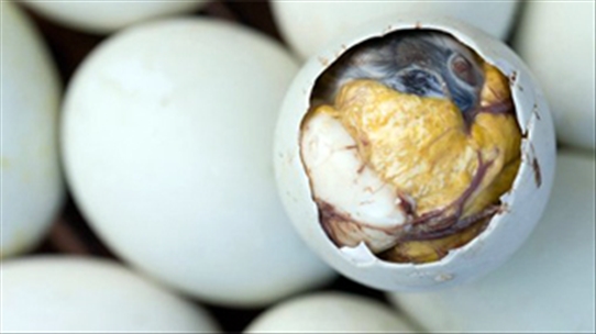 Trứng vịt lộn thưởng thức cùng với gia vị khác được coi là bài thuốc Đông y