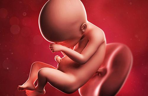 Chuyện ly kỳ về những em bé chào đời từ tinh trùng người cha đã chết - Các bạn đã nghe những câu chuyện này chưa?