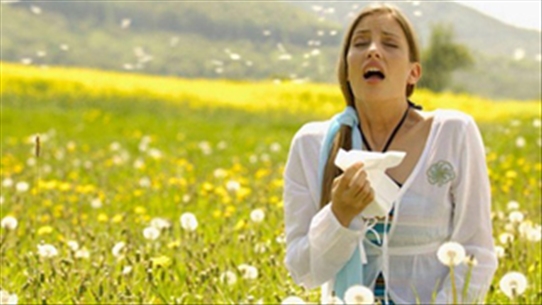 Điều cần biết về viêm mũi dị ứng do phấn hoa, đừng bỏ qua