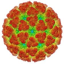 Cùng điểm danh 9 loại virut tồi tệ nhất thế giới bạn nhé!