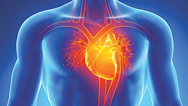 Những nguy cơ trên tim mạch khi sử dụng quá liều loperamid! Các bạn hãy tham khảo thêm nhé!