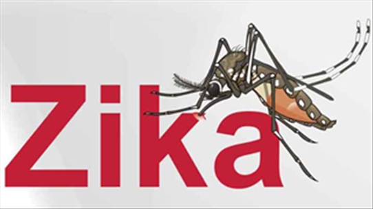 Vi-rút Zika: Mối đe dọa nguy hiểm mới với bà bầu và trẻ nhỏ
