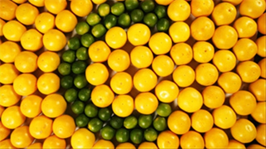 Tiết lộ với bạn vitamin C kết hợp kháng sinh có thể tiêu diệt tế bào gốc ung thư