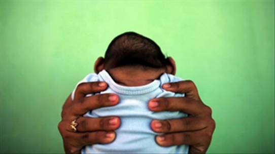 Sức khỏe sinh sản: Vi-rút Zika có khả năng gây tử vong thai nhi