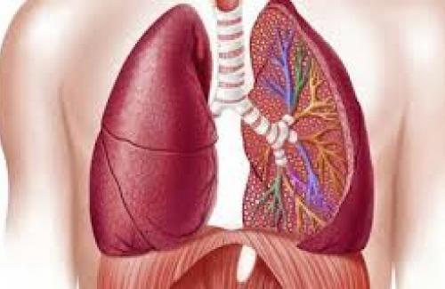 Làm thế nào để kiểm soát tốt bệnh phổi tắc nghẽn mạn tính