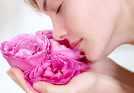 Bật mí 5 loại hoa 'thần thánh' giúp da bạn đẹp như da em bé