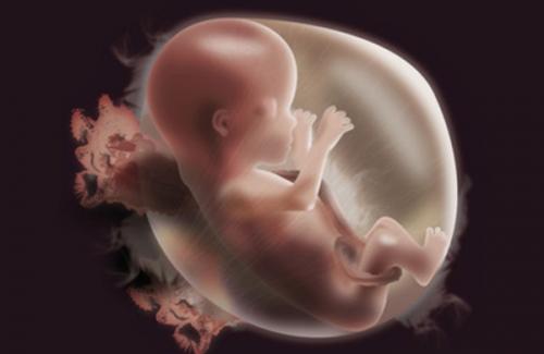 6 yếu tố gây dị tật ở thai nhi nhất định mẹ phải biết