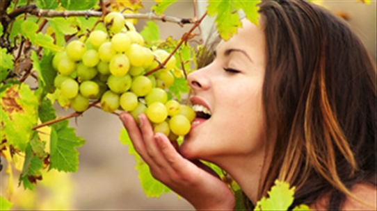 Điểm danh 4 loại trái cây mùa thu rất tốt cho sức khỏe của bạn