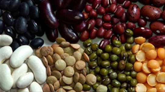 Cách chế biến các loại đậu giúp tăng cường sức khỏe