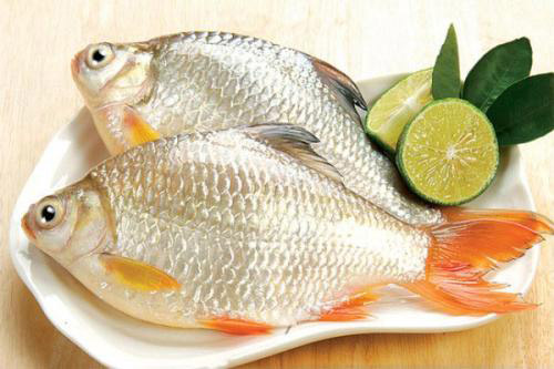 Mách nhỏ 7 món ăn từ cá diếc cho người suy nhược cơ thể