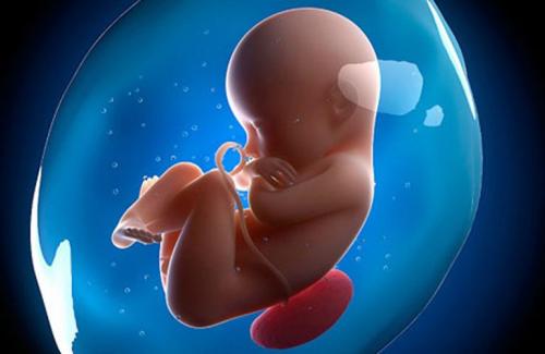 Mách mẹ 6 lỗi lớn khiến thai nhi chậm phát triển trong tử cung