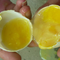Xoay quanh sự thật về trứng ung chữa rối loạn cương dương
