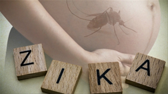 Hạn chế của xét nghiệm tầm soát Zika nhất định phải biết