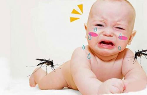 9 mẹo trị muỗi đốt cho con các mẹ nhất định phải biết