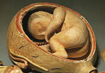 Tìm hiểu những cách thử thai kỳ lạ của phụ nữ thời xa xưa