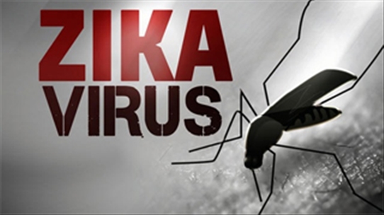 Chính xác thì vi rút Zika là gì mà khiến cả thế giới lo sợ?