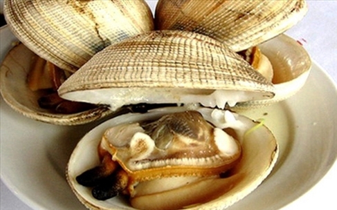 Tăng ham muốn nhờ ngán biển - Thực phẩm chứa nhiều chất dinh dưỡng cho nam giới