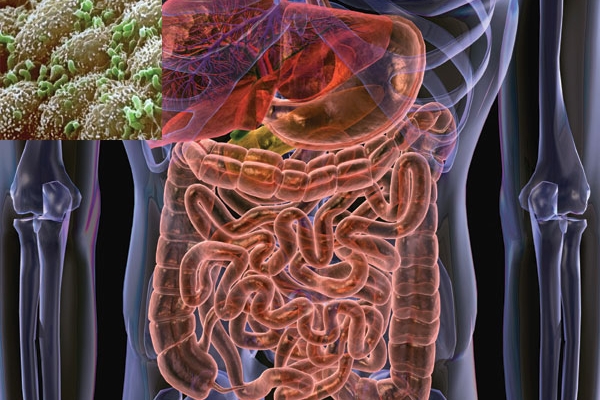 3 khám phá thú vị giữa vi khuẩn đường ruột và sức khỏe của bạn
