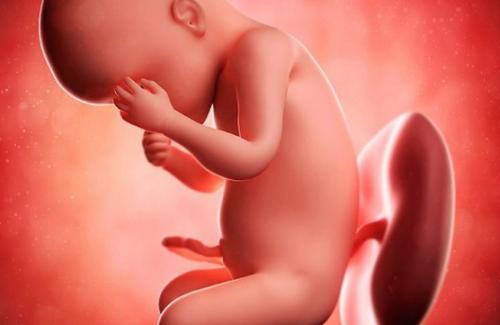 10 việc mẹ cần làm để giảm nguy cơ bị dị tật thai nhi