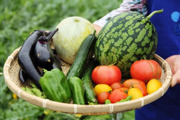 Loạn mác thực phẩm hữu cơ - Người tiêu dùng cần tỉnh táo hơn