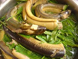Giới thiệu một số món ăn từ thịt lươn tốt cho người viêm gan