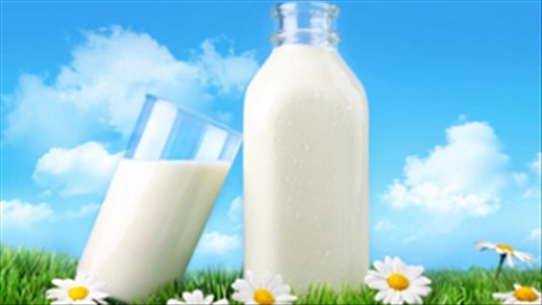 Sữa tươi và những mẹo nhỏ hữu ích bạn không thể bỏ qua