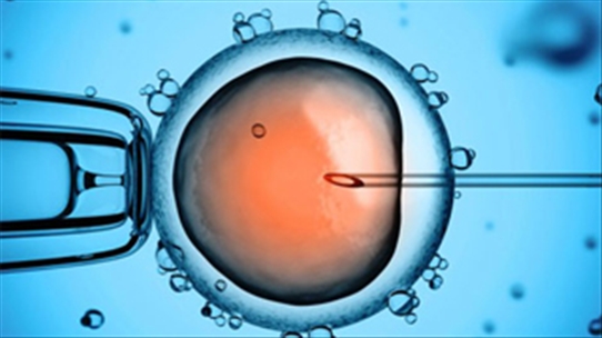 Trường hợp nào cần thụ tinh trong ống nghiệm nếu muốn có con?