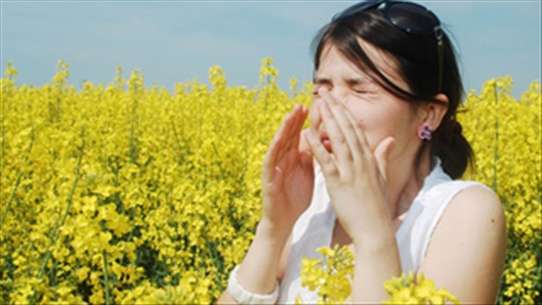 Những biện pháp giúp bạn loại bỏ các tác nhân gây bệnh viêm mũi dị ứng
