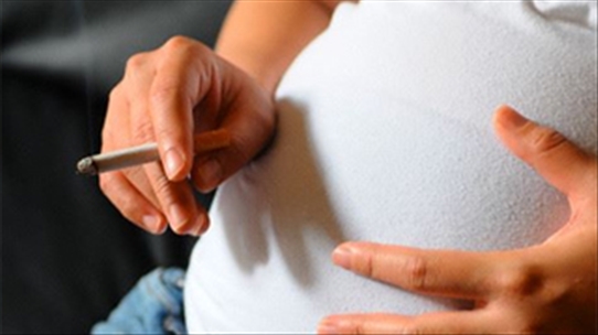 Bạn có biết thai nhi bị ảnh hưởng thuốc lá ngay từ trong bụng mẹ?
