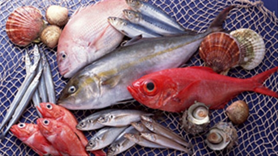 Những điều cần biết để không ăn phải cá bị nhiễm độc