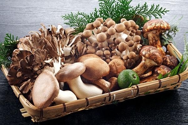 Tiết lộ những loại nấm bạn nên ăn vì cực tốt cho sức khỏe