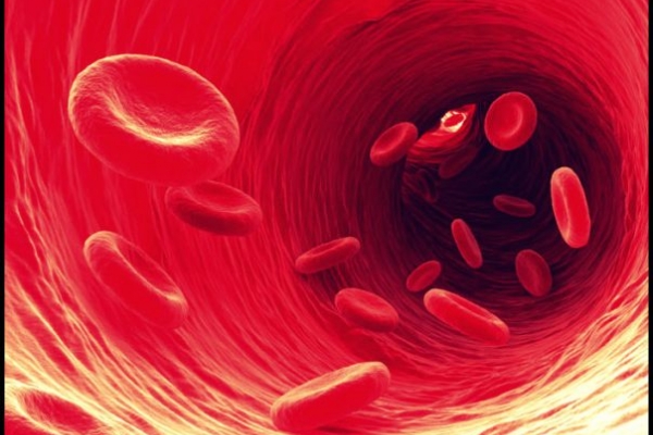 Thiếu máu, tan máu do thuốc cần có những biện pháp xử lý như thế nào?