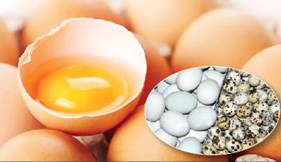 Ăn trứng nào tốt cho sức khỏe không phải ai cũng biết?