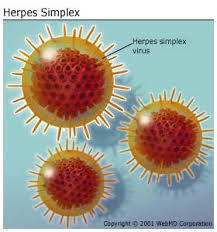 Vì sao Herpes sinh dục hay tái phát? Cùng tìm hiểu để có biện pháp phòng bệnh nhé!
