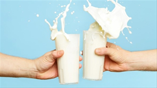 Đừng lầm tưởng uống nhiều sữa mỗi ngày là tốt cho sức khỏe
