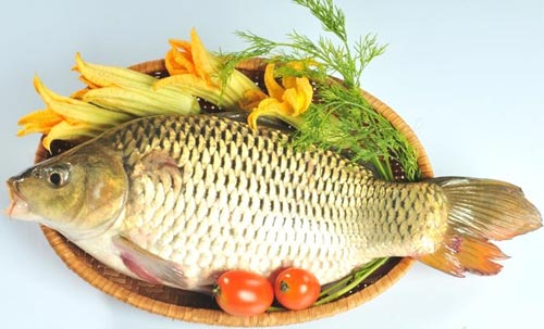 Hướng dẫn một số món ăn, thuốc thơm ngon bổ dưỡng từ cá chép