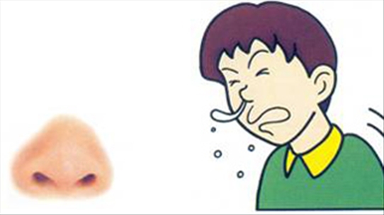 BS Nguyễn Thị Hòa: Nguyên nhân gây nên tình trạng chảy nước mũi