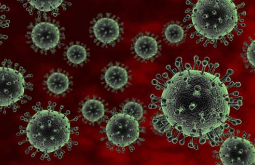 Mùa đông xuân bạn cần cần cảnh giác với bệnh cúm A H5N1