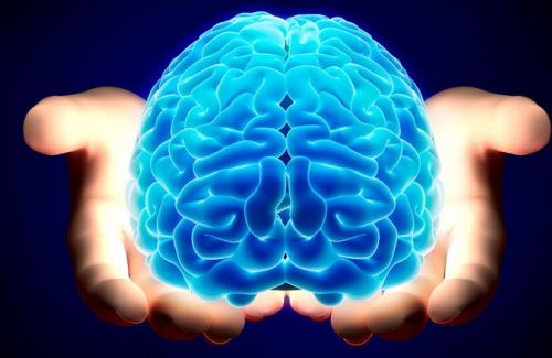 Khám phá 8 điều thú vị có thể bạn chưa biết về bộ não