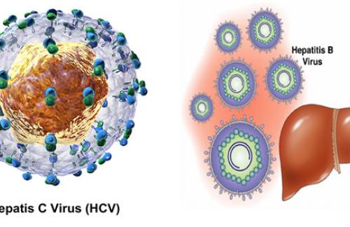 Những kiến thức cần biết dành cho sản phụ nhiễm virus viêm gan B