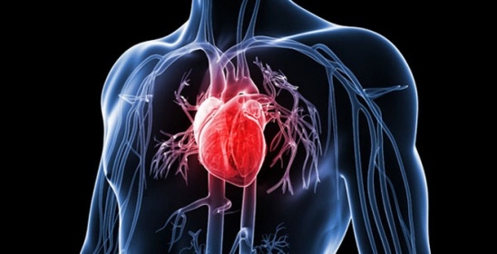 Những lý do dẫn đến bệnh đau tim không phải ai cũng biết