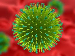 Những cách phòng tránh và điều trị bệnh viêm não do virut