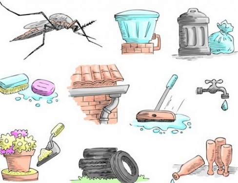 Biết sự biến đổi tập tính của muỗi để chặn sốt xuất huyết