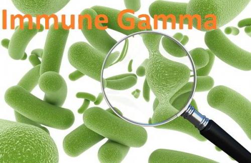 Immune Gamma - "thần dược" tăng cường miễn dịch cho “vùng kín”