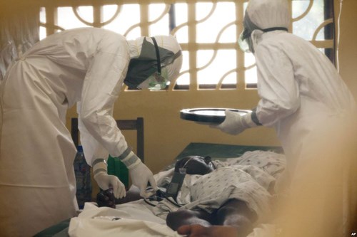 Bệnh Ebola và sốt xuất huyết khác nhau như thế nào?